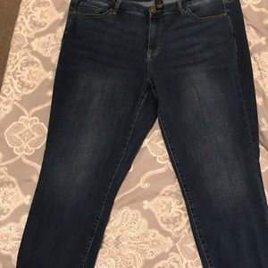 Mid Rise Super Stretch Lane Bryant Skinny Jeans 18